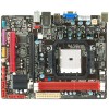 Материнская плата BIOSTAR A55MLC Ver. 6.x