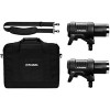 Вспышка Profoto D2 500/500 AirTTL kit